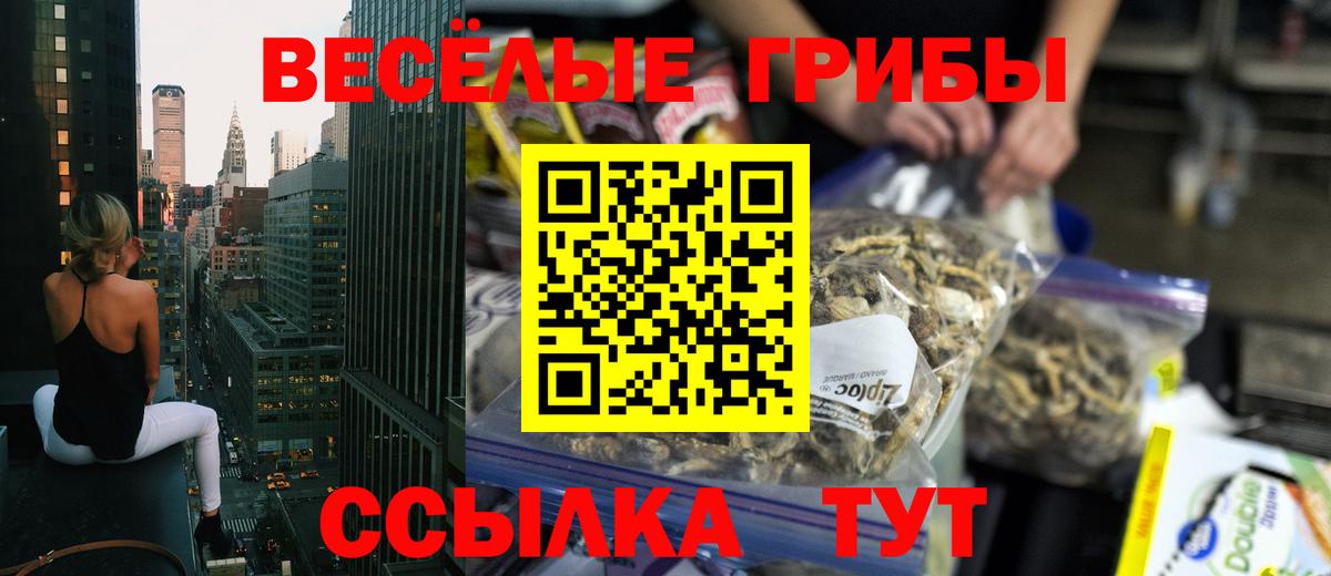 Псилоцибиновые грибы Cubensis Орёл