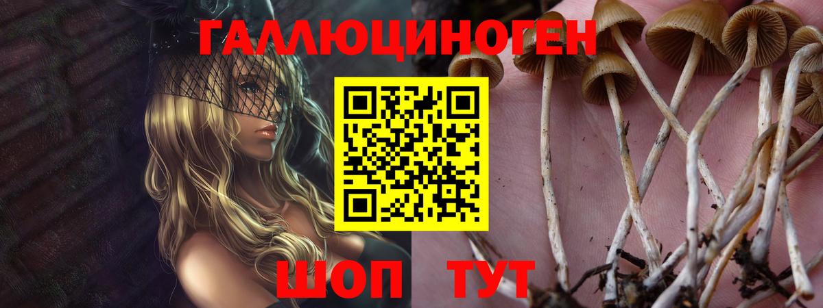 Псилоцибиновые грибы мицелий  магазин продажи наркотиков  Орёл  Вход с VPN 
